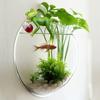 Frog Basin Hanging Flower Pot Edge Hanging Decorative Glass Fish Tank Pendant Outdoor Courtyard Simulation Animal Resin Ornament