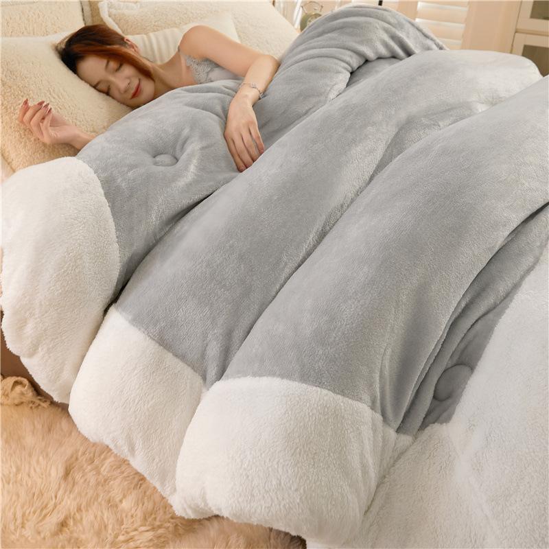 Super Thick Winter Lamb Wool Quilt Winter Quilt Core Thickened To Keep Warm 10 Jin Single Double Student Autumn And Winter