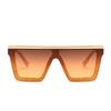European American Oversized Unisex Frame Sunglasses - Stylish Model 30020