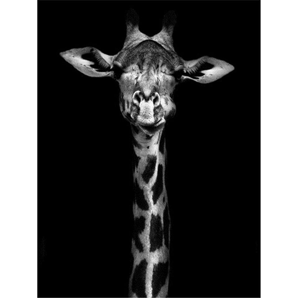 5D Round Diamond Painting "animal" Lion Tiger Diamond Embroidery Cross Stitch Kit Rhinestone Mosaic Picture DIY Decoration Gift