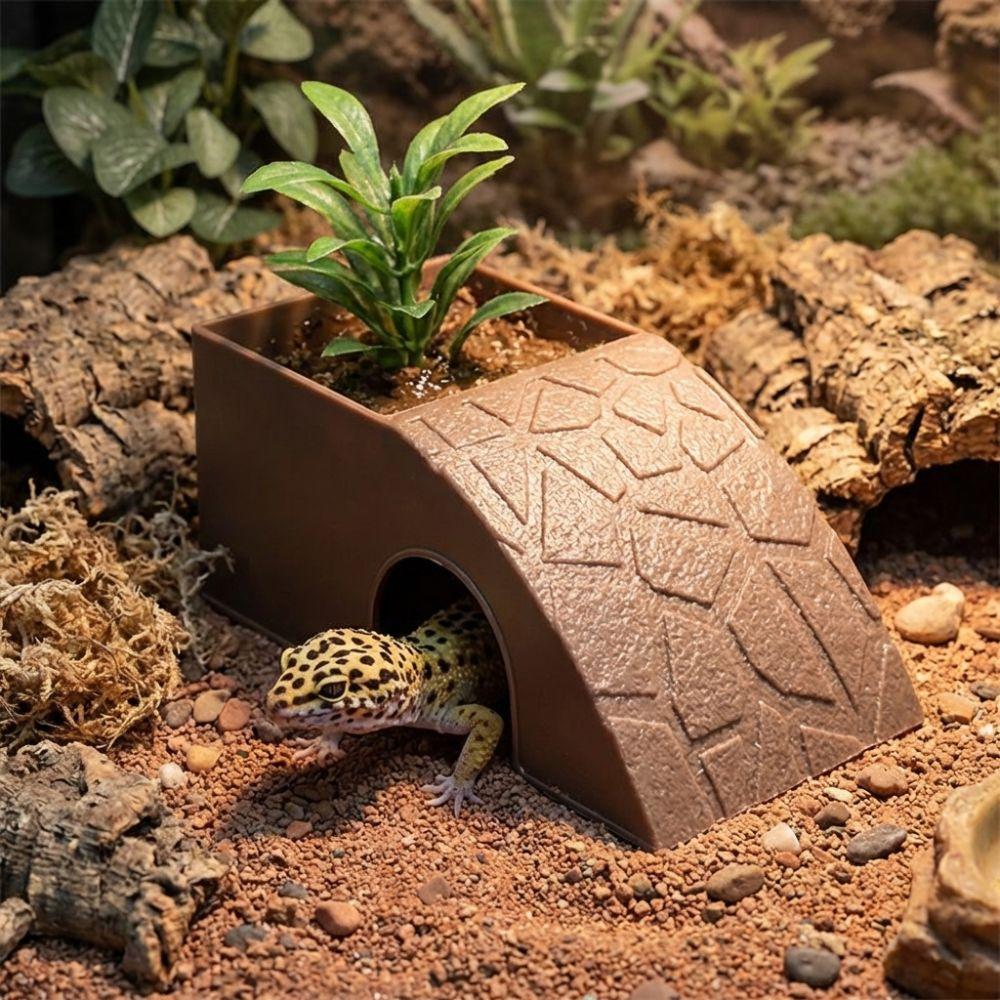 Plastic Reptile Hideout Cave Anti Drowning Smooth Surface Reptile Feeding Box Climbing Platform With Moss Tray