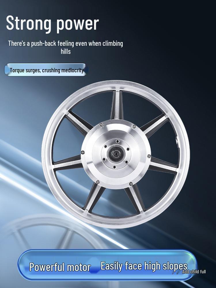 14-inch High-Power Electric Vehicle Motor 36V/48V 350W/400W with Disc Brakes for Front/Rear Drive Wheels