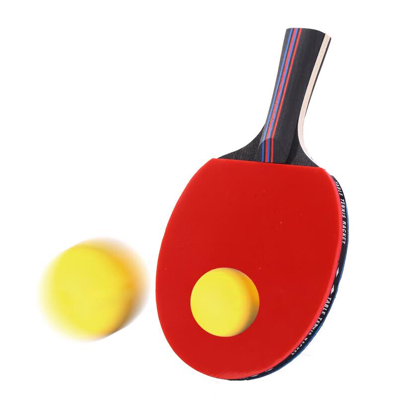 TESIEN Professional 6-Star Table Tennis Racket Set