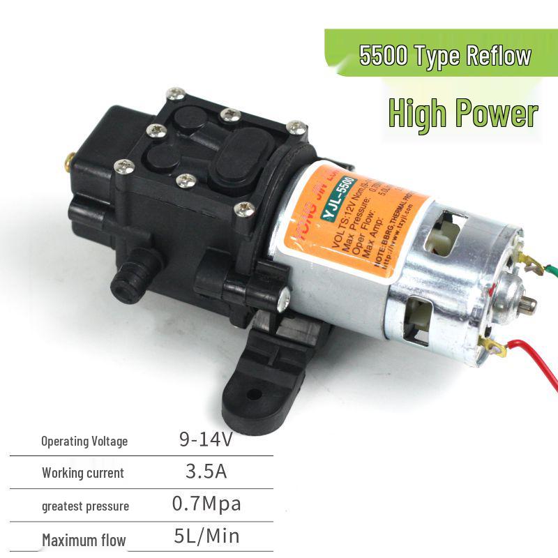 Pompa per Spruzzatore Elettrico con Motore in Rame da 12V: Pompa a membrana autoadescante, Modelli 2203/4200/5500.