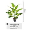 Large Nordic-style Banana Leaf Potted Plant - Indoor Decoration and Landscaping