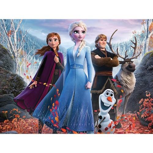 Frozen II Characters Jigsaw Puzzle