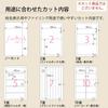 KOKUYO Label Sticker Postcard Size Uncut KPC-PS011-100