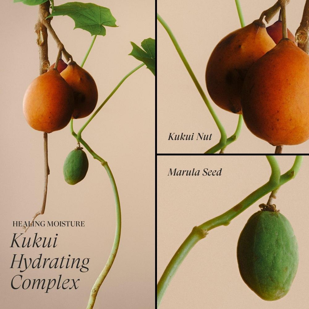 L Anza heaLing Moisture Moisturizing Mist 6.8 Oz