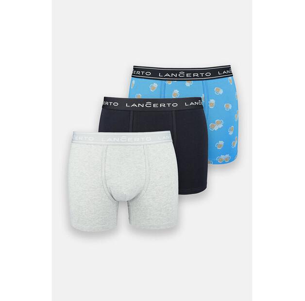 

Боксеры Lancerto NBI073122000040 EU XXL
