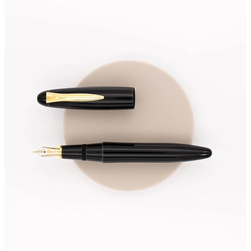 

platinum Izumo Tame-nuri fountain pen empty reservoir Medium character (M) PIZ-55000#27