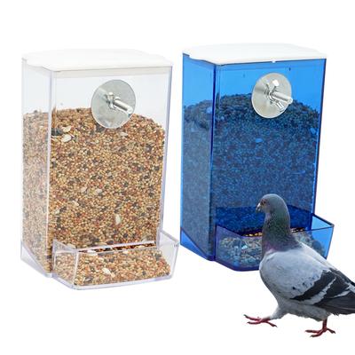 ציפורים – כלי אוכל ושתייה לציפורים