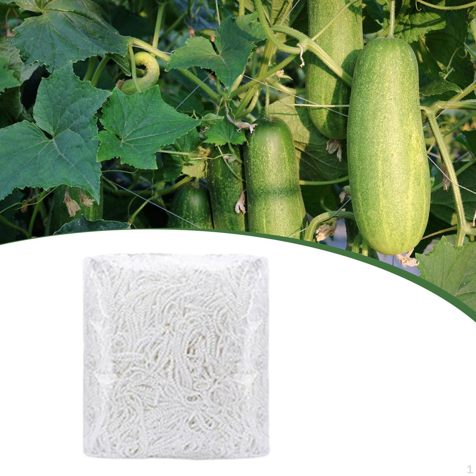 

Plant Trellis Netting Climbing Net 196.85inch Multipurpose Versatile Grow Support for Lawn