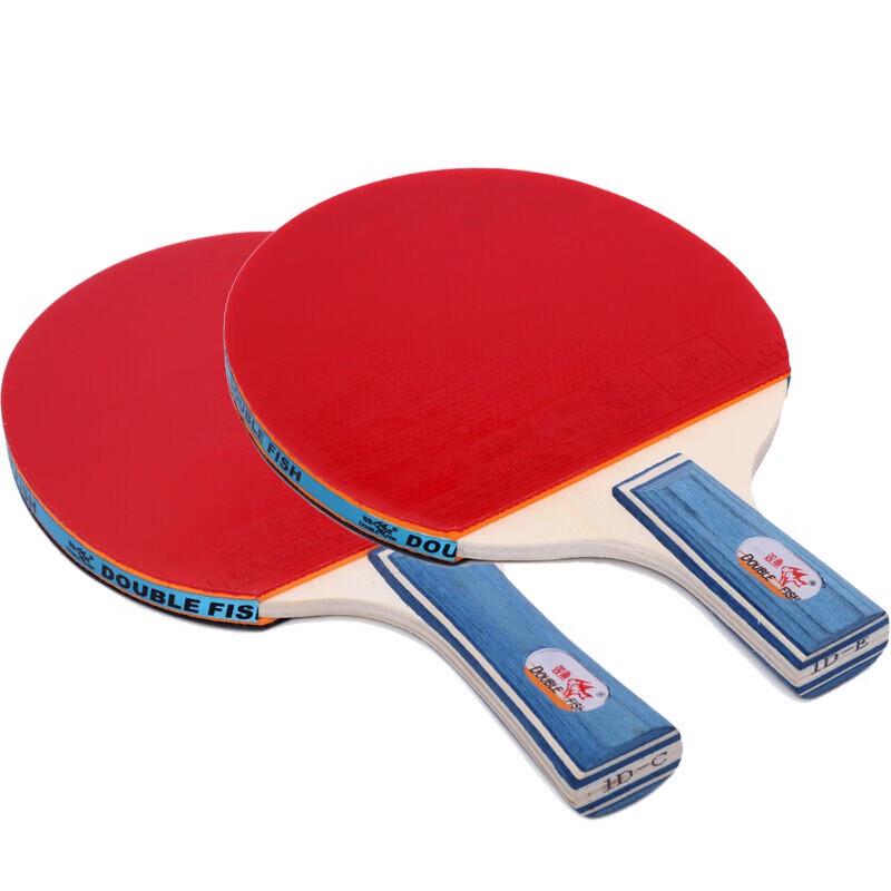 Double Fish 1-Star Table Tennis Racket