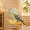 Hanging Bird Rocking Perch Stand Anti Slip Climbing Ladder Toy Bird Swing Toys  Indoor Active Play