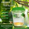 Solar Fruit Fly & Insect Trap for Orchards - Bee Friendly, In Stock