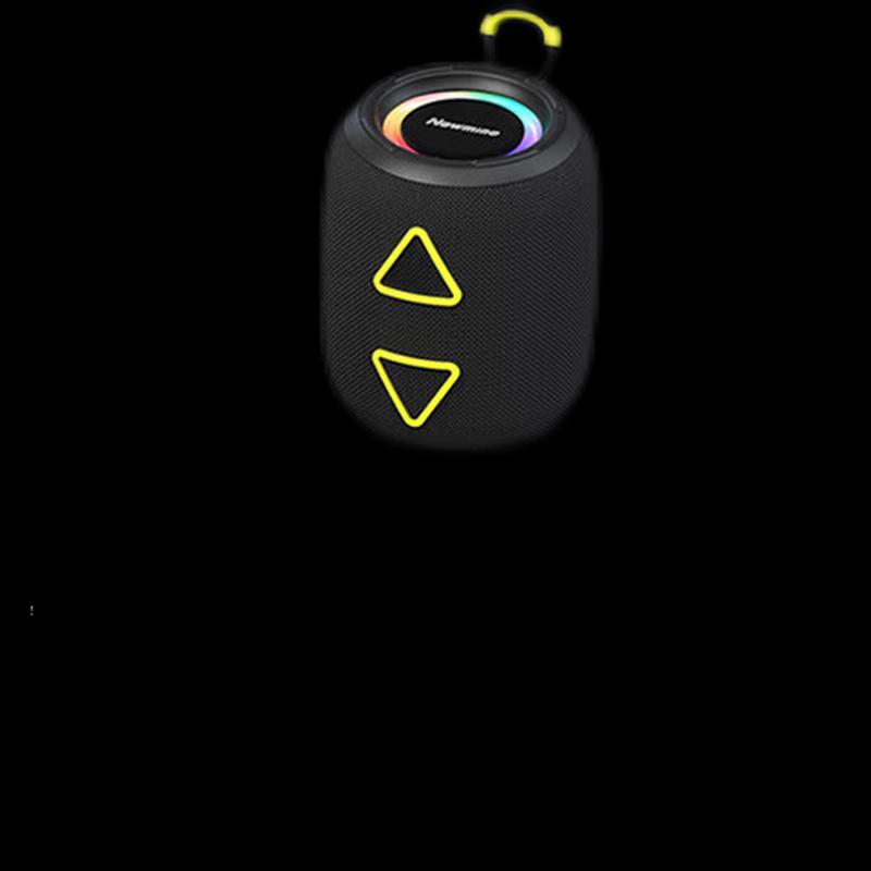 Newmine BT87 Portable Bluetooth Speaker