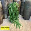 Artificial Spider Plant & Fern Hanging Decor - Trailing Green Vines for Wall & Ceiling