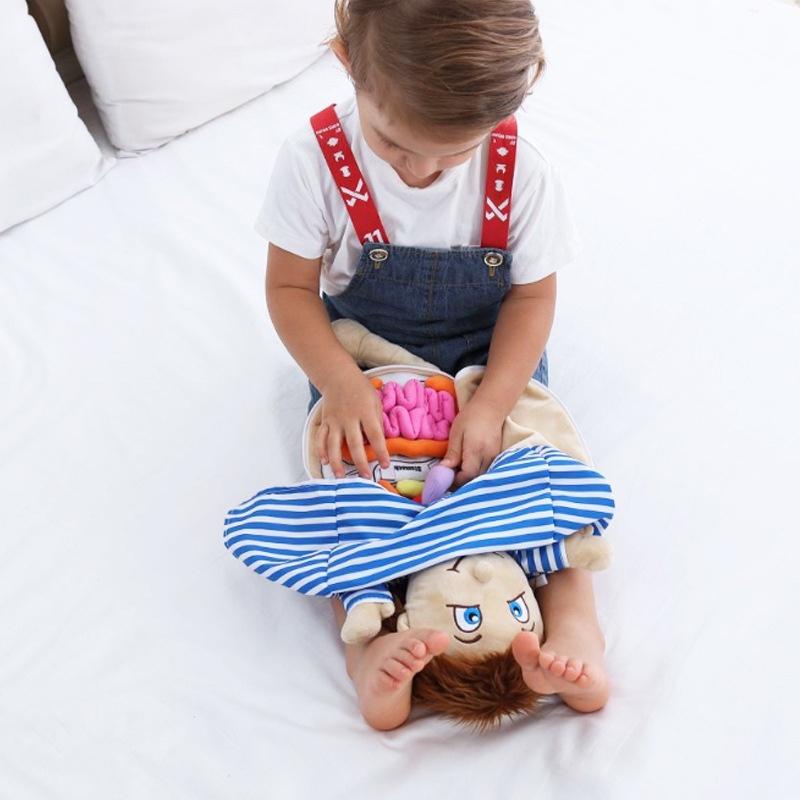 Children Cognitive Human Organ Body Structure Puzzle Plush Early Toys Education