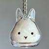 Transparent Acrylic Keychain Cat Hair Storage Capsule Dog Hair Storage Container  Pet Souvenirs