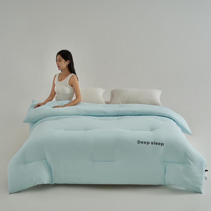 LISM Deep Sleep Warm Winter Quilt