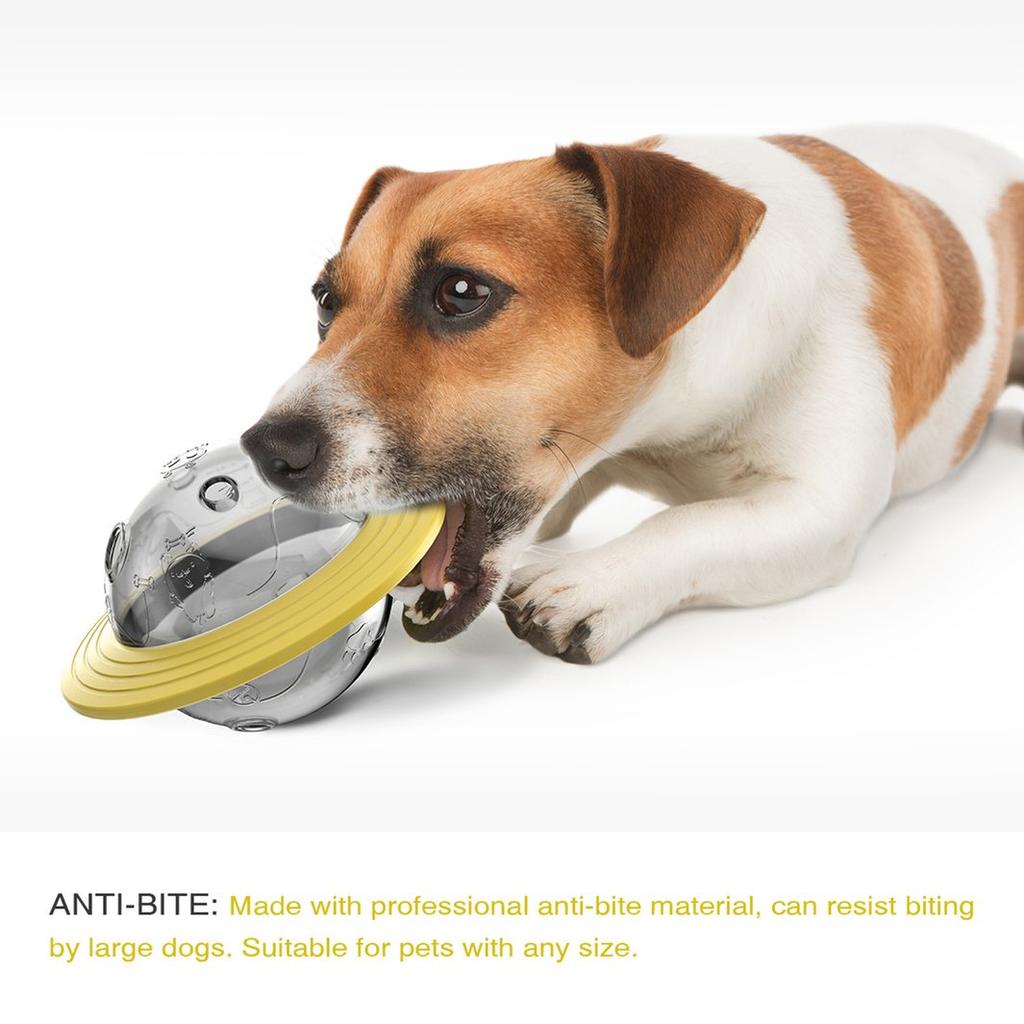 dog exercise toys