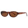 2026 Unisex European-American Retro Oval Sunglasses with Sun Protection