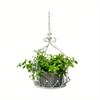 Vintage Iron Hanging Baskets, Crown Design for Indoor/Outdoor Garden & Patio Decor.