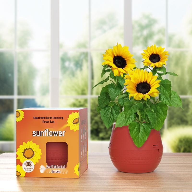 Kids' Chili Planting Pot - Primary School Gardening Kit