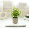Birthday Gifts Artificial Green Plants Indoor Decorative Plants