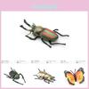 Eye Catching Realistic Insect Figurines Set With Butterflies Spiders Ants Beetles And Dragonflies Ideal For Educational Displays