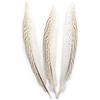 Pheasant Feathers 10 Pieces, White Natural Pheasant Feathers Decorative Chicken Tail Feathers for DIY Crafts, Birthday, Wedding Party Centerpieces,