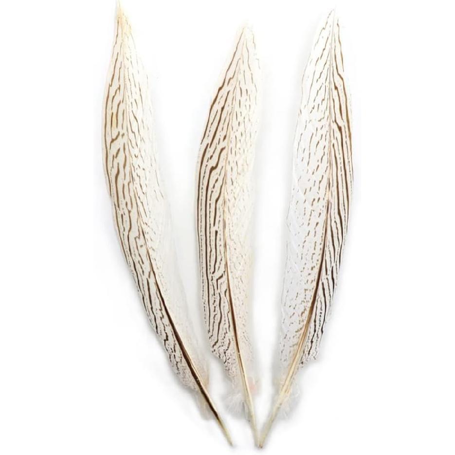 Pheasant Feathers 10 Pieces, White Natural Pheasant Feathers Decorative Chicken Tail Feathers for DIY Crafts, Birthday, Wedding Party Centerpieces,