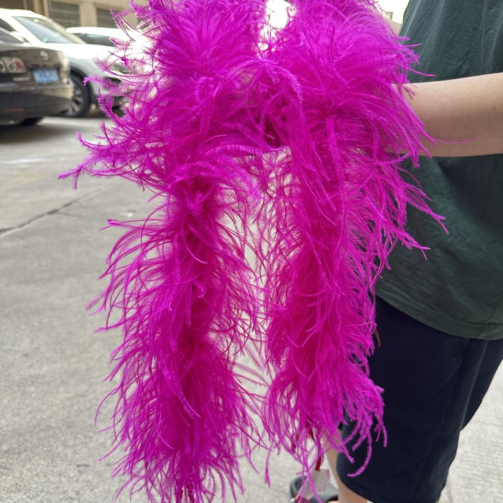 2M Red Ostrich Feathers Boa 1-10Ply Thick Natural Feather Shawl for Wedding Clothing Decoration Sewing Plumes Crafts Accessory