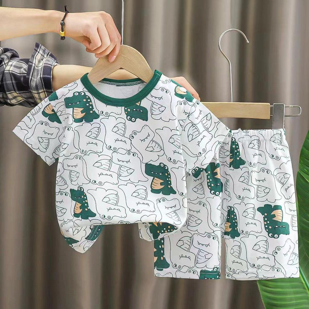 Toddler's Summer Bear Print T-shirt and Shorts Set