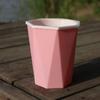 with Clear Saucer Reservoir Plant Pot with Drainage Hole Desktop Plants Pot