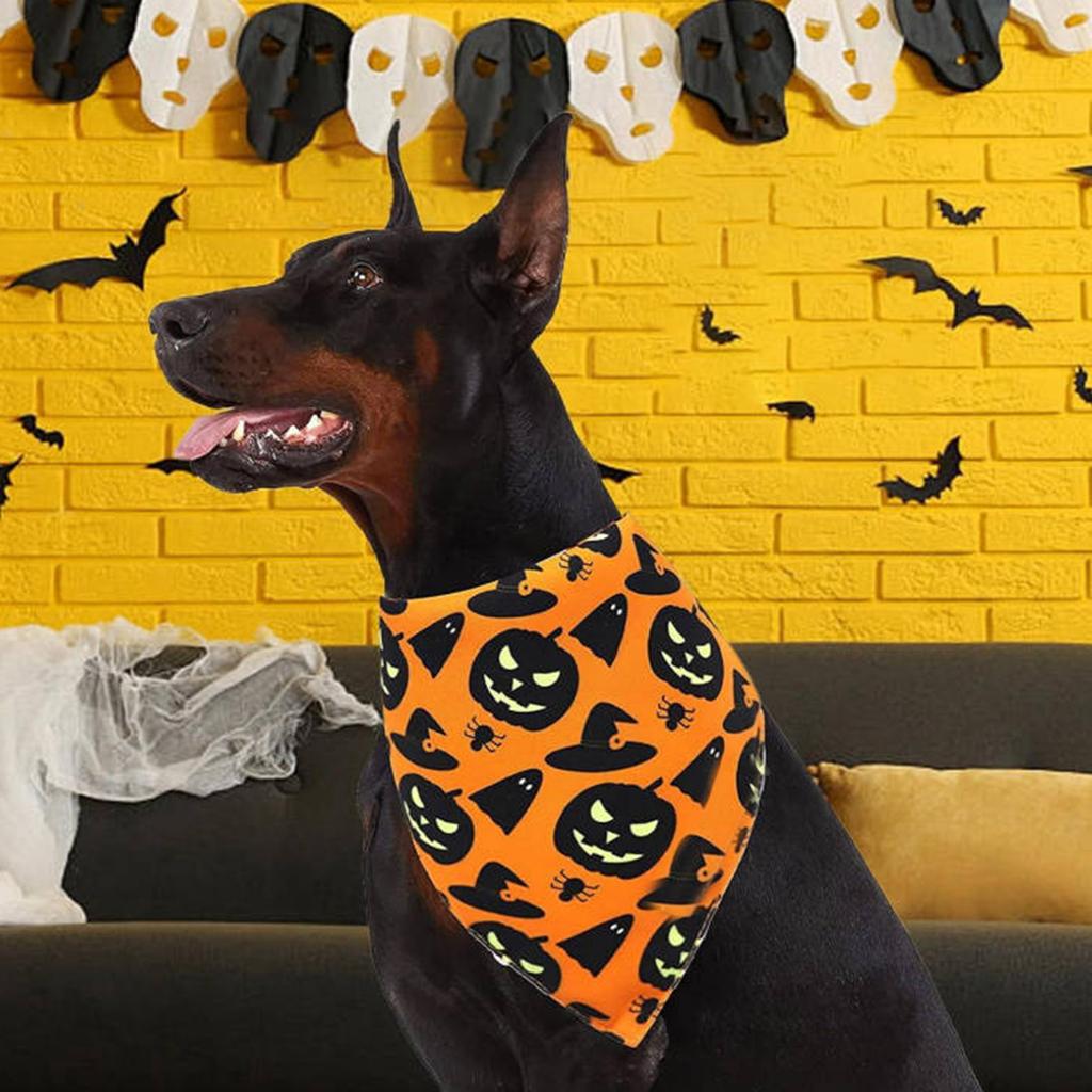 Halloween Reversible Pet Scarf