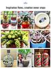 Multi-Functional Glass Bottle and Ceramic Pot Cutting & Polishing Machine