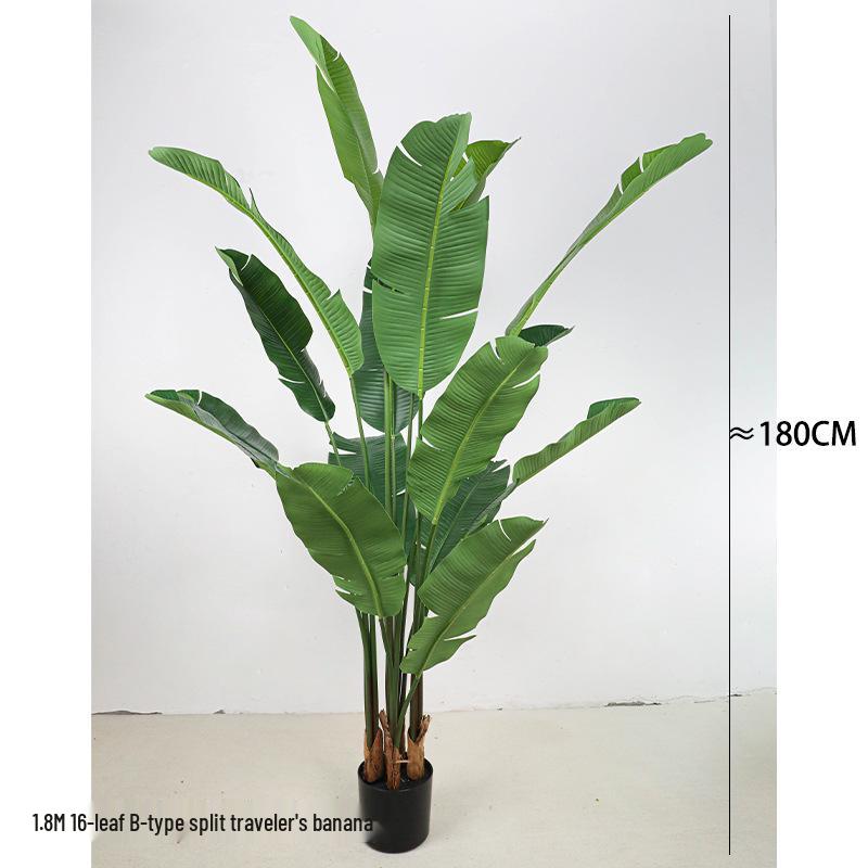 Large Monstera Banana Leaf Plant for Indoor Display and Corner Landscaping