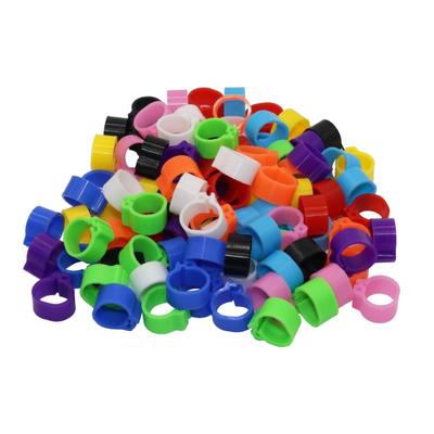 100 peças diâmetro interno 8mm 10mm clipe de plástico para pássaros anel colorido para pombos 10 cores suprimentos para pombos