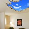 Hotel Ceiling Bedroom Living Room Blue Sky White Clouds 3D Wall Stickers ARI