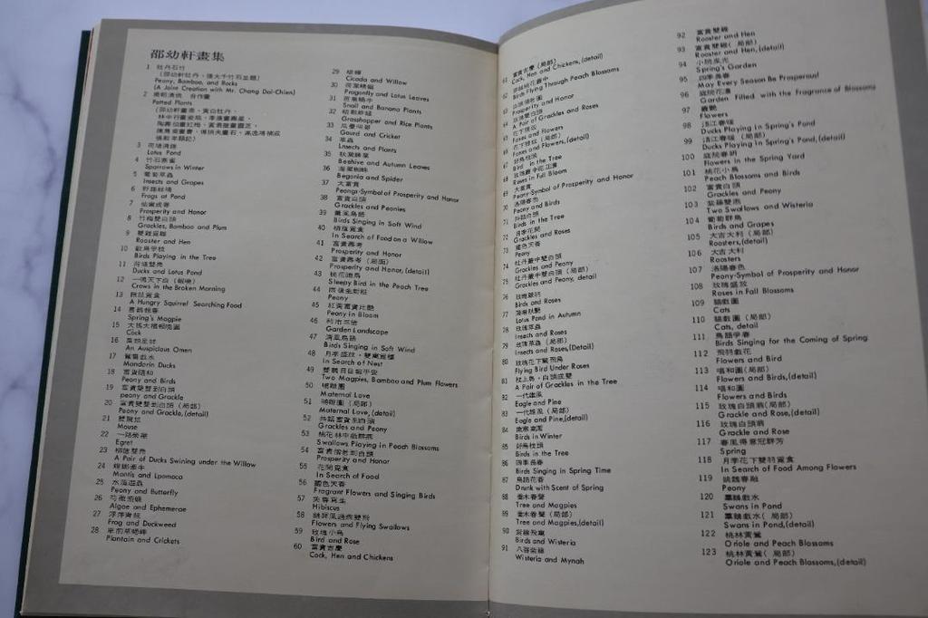 [USED] Shao Yuxuan Art Book Taiwan