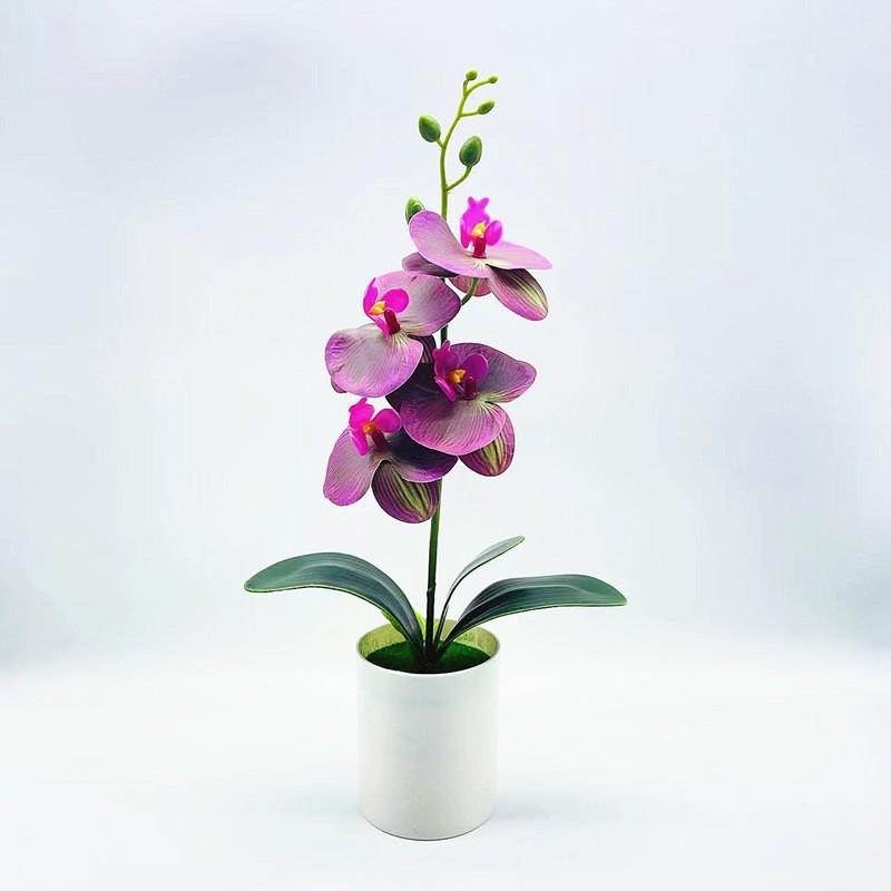 Artificial Plastic Phalaenopsis Flower Bonsai For Event Decoration Home Styling