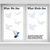 Boao 40 Pieces Large Size Anti-Collision Window Clings Bird Window Stickers Prevent Bird Strikes on Doors Windows Glass Translucent/Dusted Bird