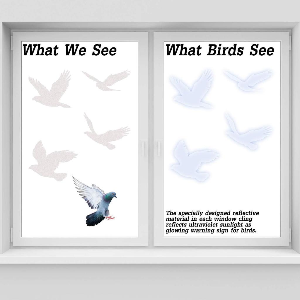 Boao 40 Pieces Large Size Anti-Collision Window Clings Bird Window Stickers Prevent Bird Strikes on Doors Windows Glass Translucent/Dusted Bird