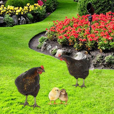 4 Pieces Chicken Animal Statue Stakes, Garden Decorations Sign, Sculpture ,Garden