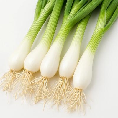 150 Seeds of Ishikura Leek Onion (Allium Fistulosum)