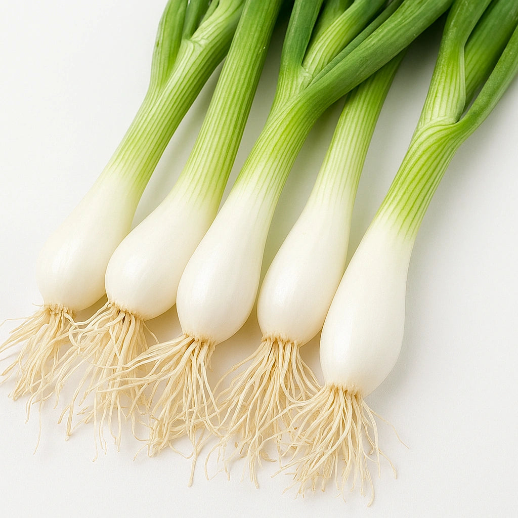 150 Seeds of Ishikura Leek Onion (Allium Fistulosum)