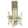 Studio Condenser Microphone Metal Wired Cardioid Condenser Microphone for Vocal Recording