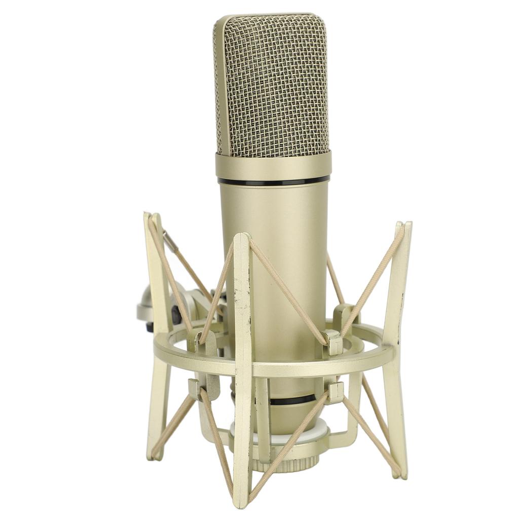 Studio Condenser Microphone Metal Wired Cardioid Condenser Microphone for Vocal Recording