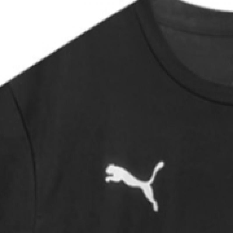 Puma Galleria Puma Team Goal Match Day Men S Athlet fitneSS Wear Short Sleeve jerSey